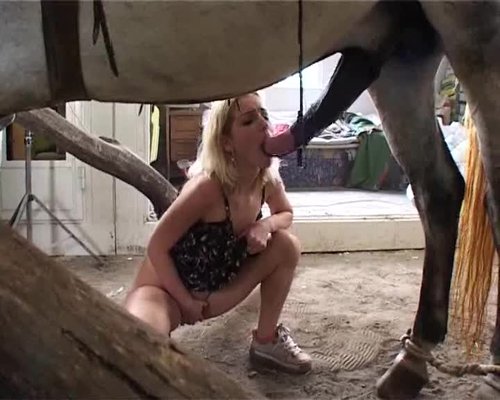 Beastieality Porn 93017 | More Hot Pictures from Horse Fuck
